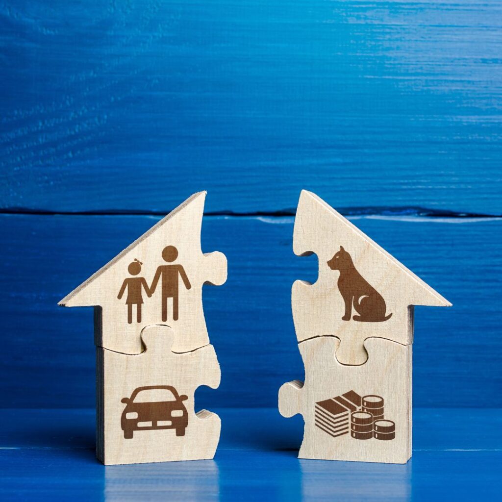 Mediator and Financial Neutral CDFA